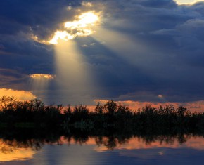 If the River of Everlasting Life Could Talk