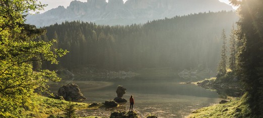 People, Like Trees, Need Light