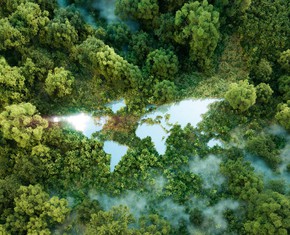 A World-Embracing Vision for a Sustainable Future
