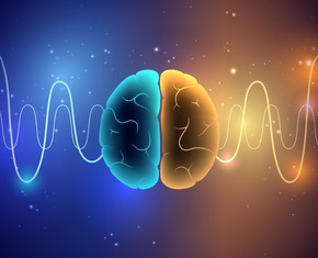 The Brain and Pain: Endorphins, Opioids, and Love