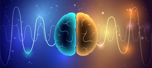 The Brain and Pain: Endorphins, Opioids, and Love