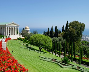 My Year of Service: A Journey of Faith, Friendship, and Commitment