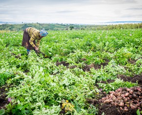 Regenerative Agriculture: A Force for Changing the World