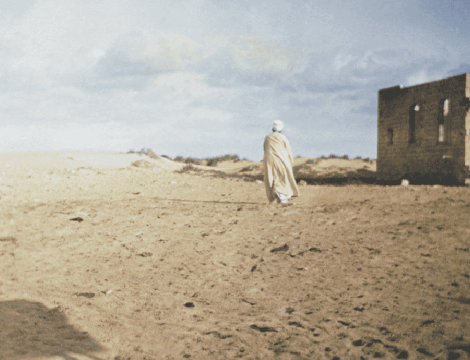 Transparency in Action: Walking the Path of Truth and Service