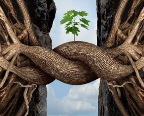How to Promote Unity and Harmony in Society