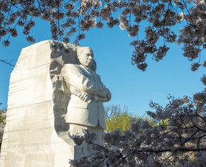 Dr. King’s Insights on Psychological Wounds and Freedom
