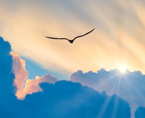 The Creator’s Messengers: Our Letters From the Beloved