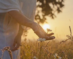 The Unseen Glory of Baha’u’llah’s Revelation