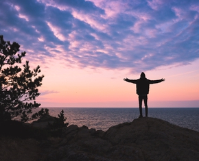 How to Actually Trust the Will of the Creator