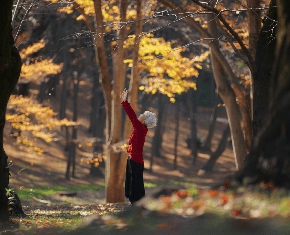 When Surrender Becomes Strength