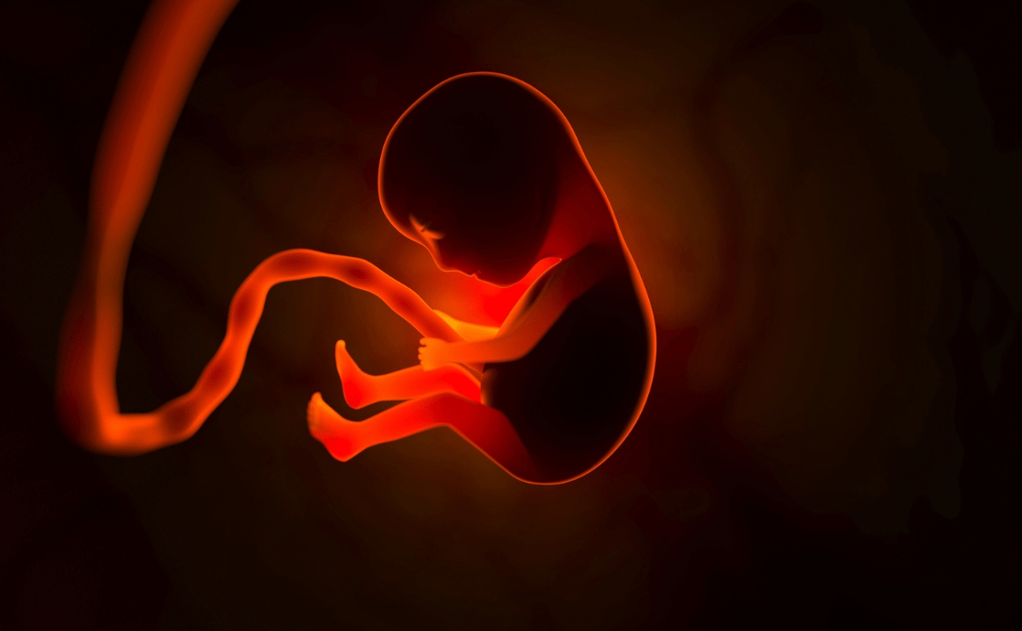This World a Womb for Eternity
