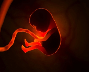 This World a Womb for Eternity