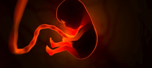 This World a Womb for Eternity