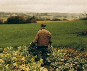 How Do We Feed Two Billion More People?