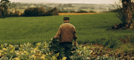 How Do We Feed Two Billion More People?