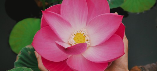 Beauty Enhances and Enriches the Spirit