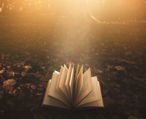 Al interpretar las profecías, añadamos la palabra 