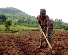 Agriculture: the Secret Ingredient to Global Peace and Prosperity