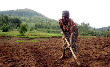 La agricultura: el ingrediente secreto de la paz mundial y la prosperidad