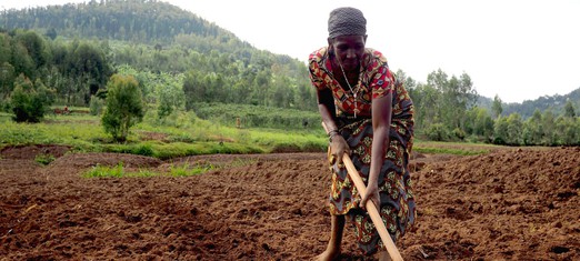 La agricultura: el ingrediente secreto de la paz mundial y la prosperidad
