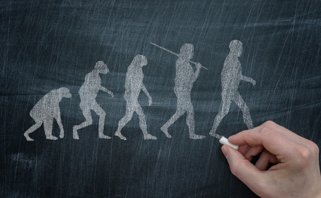 Understanding the Nature of Evolution Itself