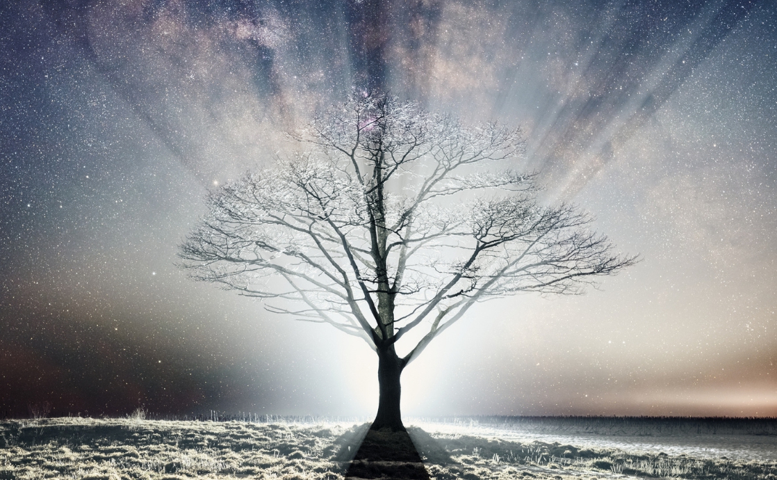 Las religiones del mundo: todas son ramas de un mismo árbol