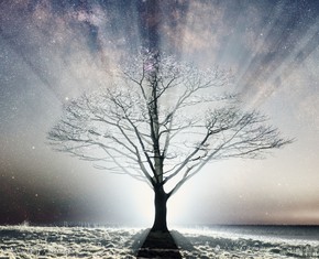 Las religiones del mundo: todas son ramas de un mismo árbol
