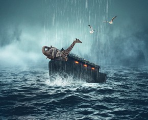 El Arca de Noé y el valor del simbolismo espiritual