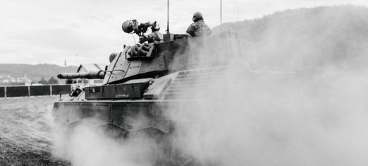 Cómo puede responder el mundo a las invasiones