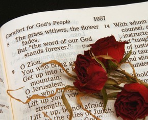 El Día de Dios y la Revelación Bahá’í