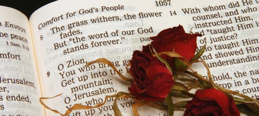 The Day of God and the Baha’i Revelation