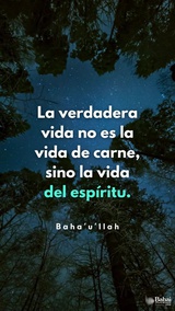 La verdadera vida no es la vida de carne, sino la vida del espíritu. Pues la vida de la carne es común a hombres y animales, mientras que la vida del espíritu la poseen solamente los puros de corazón ... - Baha'u'llah 

#Bahai #Espiritualidad #Alma