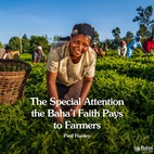 Explore the Baha'i teachings on agriculture and how they inspire a sustainable future for both rural and urban communities.  Read the full article – link in bio 🔗  #Bahai #Agriculture #Farmers #Spirituality