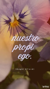 La vida es una lucha constante, no sólo contra las fuerzas que nos rodean, sino sobre todo contra nuestro propio ego. Nunca podemos permitirnos descansar sobre nuestros propios remos, porque si lo hacemos, pronto nos vemos arrastrados corriente abajo de nuevo... - Shoghi Effendi  #Bahai #Espiritualidad #CrecimientoEspiritual
(Unfolding Destiny) [Traducción Provisional]