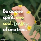 Day by day become more closely attracted in order that the love of God may illumine all those with whom you come in contact. Be as one spirit, one soul, leaves of one tree, flowers of one garden, waves of one ocean. - #AbdulBaha  #bahai #spirituality #unity #love 
(The Promulgation of Universal Peace)