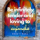 ... is it essential that ye show forth the utmost consideration to the animal, and that ye be even kinder to him than to your fellow man.⠀
Train your children from their earliest days to be infinitely tender and loving to animals. If an animal be sick, let the children try to heal it, if it be hungry, let them feed it, if thirsty, let them quench its thirst, if weary, let them see that it rests. - #AbdulBaha⠀
⠀
#bahai #animals #lovetoanimals #cats⠀
(Selections From the Writings of ‘Abdu’l-Bahá)