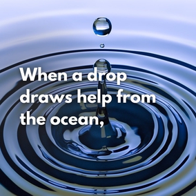When a drop draws help from the ocean, it is an ocean in itself, and a little seed, through the outpouring of rain, the favor of the sun and the soul-refreshing breeze, will become a tree with the utmost freshness, full of leaves, blossoms and fruits. Therefore, do not consider thy capacity and merit, but rely upon the infinite bounty and trust to His Highness the Almighty. Do not delay. Undertake soon that which thou art intending. - #AbdulBaha  #bahai #spirituality #trust
(Tablets of Abdu’l-Baha, p. 565)