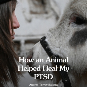 By the time the submerged memory of the abuse surfaced, my life was in flaming ruins – but I was learning to heal myself, by the grace of the Creator.  Read the full article – link in bio 🔗  #Animals #MentalHealth #LovetoAnimals #Bahai