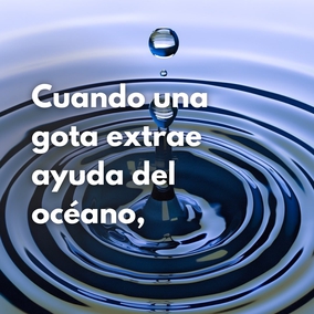 Cuando una gota extrae ayuda del océano, es un océano en sí misma, y una pequeña semilla, mediante la efusión de la lluvia, el favor del sol y la brisa que refresca el alma, se convertirá en un árbol con la máxima frescura, rebosante de hojas, flores y frutos. Por lo tanto, no consideres tu capacidad y mérito, sino confía en la infinita munificencia y confianza en Su Alteza el Todopoderoso. - #Abdul-Baha  #Bahai #Espiritualidad #Motivacion #Frases
(Tablets of Abdul-Baha Abbas, p. 565)
[Traducción Provisional]