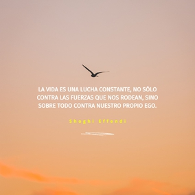 La vida es una lucha constante, no sólo contra las fuerzas que nos rodean, sino sobre todo contra nuestro propio ego. Nunca podemos permitirnos descansar sobre nuestros propios remos, porque si lo hacemos, pronto nos vemos arrastrados corriente abajo de nuevo... - Shoghi Effendi  #Bahai #Espiritualidad #CrecimientoEspiritual
(Unfolding Destiny) [Traducción Provisional]