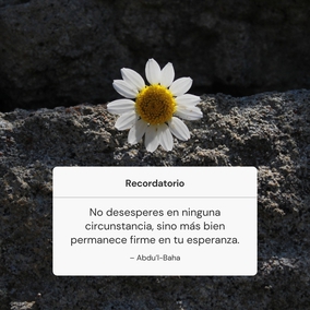 Nunca pierdas la confianza en Dios. Ten siempre esperanza, pues las dádivas de Dios nunca cesan de descender sobre el hombre. Si se observa desde cierta perspectiva, parecen decrecer, mas, vistas desde otro ángulo, son plenas y completas. El hombre, en todas las condiciones, está inmerso en un mar de bendiciones de Dios. Por tanto, no desesperes en ninguna circunstancia, sino más bien permanece firme en tu esperanza. - #AbdulBaha⠀
⠀
#bahai #espiritualidad #confianzaendios #confianza #esperanza