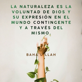 Di: En su esencia, la Naturaleza es la encarnación de Mi Nombre, el Hacedor, el Creador. Sus manifestaciones están diversificadas por diferentes causas, y en esta diversidad hay signos para los hombres de discernimiento. La Naturaleza es la Voluntad de Dios y su expresión en el mundo contingente y a través del mismo. – #Bahaullah #Bahai #Espiritualidad #Naturaleza
(Tablas de Bahá’u’lláh)