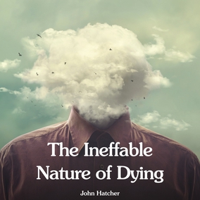 Can language capture what happens at life’s end? Uncover fascinating parallels between near-death encounters and spiritual perspectives on the mystery of dying.  Read the full article – link in bio 🔗  #Bahai #Spirituality #Soul #Afterlife