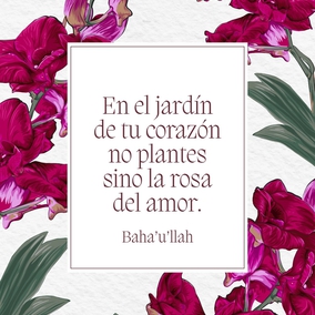 En el jardín de tu corazón no plantes sino la rosa del amor, y no te desligues del ruiseñor del afecto y del deseo. Atesora la compañía de los justos... - #Bahaullah⠀
⠀
#Bahai #Amor #Justicia #Espiritualidad