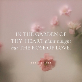 In the garden of thy heart plant naught but the rose of love, and from the nightingale of affection and desire loosen not thy hold. – Baha’u’llah  #Bahai #Spirituality #Love #Humanity 
(The Hidden Words)