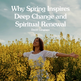 Why does spring make us feel renewed? Explore the deeper spiritual meaning behind this season of growth and transformation.  Read the full article – link in bio 🔗  #Bahai #Spirituality #Spring #Renewal