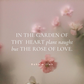 In the garden of thy heart plant naught but the rose of love, and from the nightingale of affection and desire loosen not thy hold. – Baha’u’llah  #Bahai #Spirituality #Love #Humanity 
(The Hidden Words)