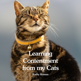 What can two cats teach us about trust, patience, and finding peace? More than you'd think — discover how the simple lives of animals reflect deep spiritual truths about contentment found in the Bahá'í writings. Read the full article – link in bio 🔗 #Bahai #Cats #Animals #Contentment