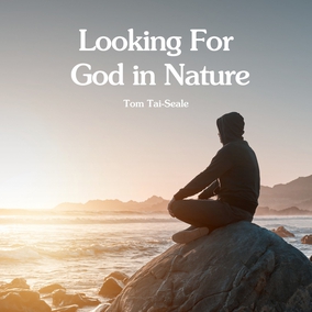 Where do we look for God? At some level the answer is: anywhere.  Read the full article – link in bio 🔗  #Bahai #Spirituality #God #Nature