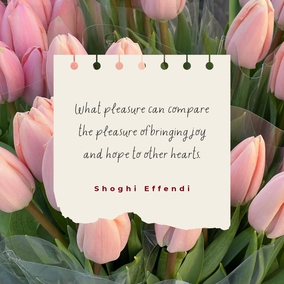 What pleasure can compare the pleasure of bringing joy and hope to other hearts. The more we make others happy the greater will be our own happiness and the deeper our sense of having served humanity. - Shoghi Effendi  #Bahai #Spirituality #Friendship #Service #Joy